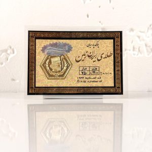 سکه پارسیان 400 گرم