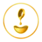 servises