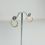 Bernardo hoop earrings