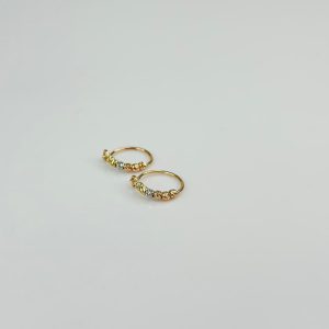 Bernardo hoop earrings