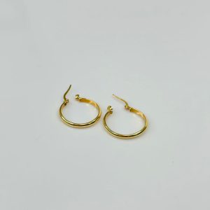 Violet hoop earrings