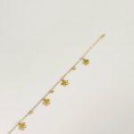 Bernardo's anklet