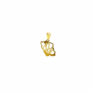 پلاک لیزری ایران 93043 – نرخ خام + فقط 15%